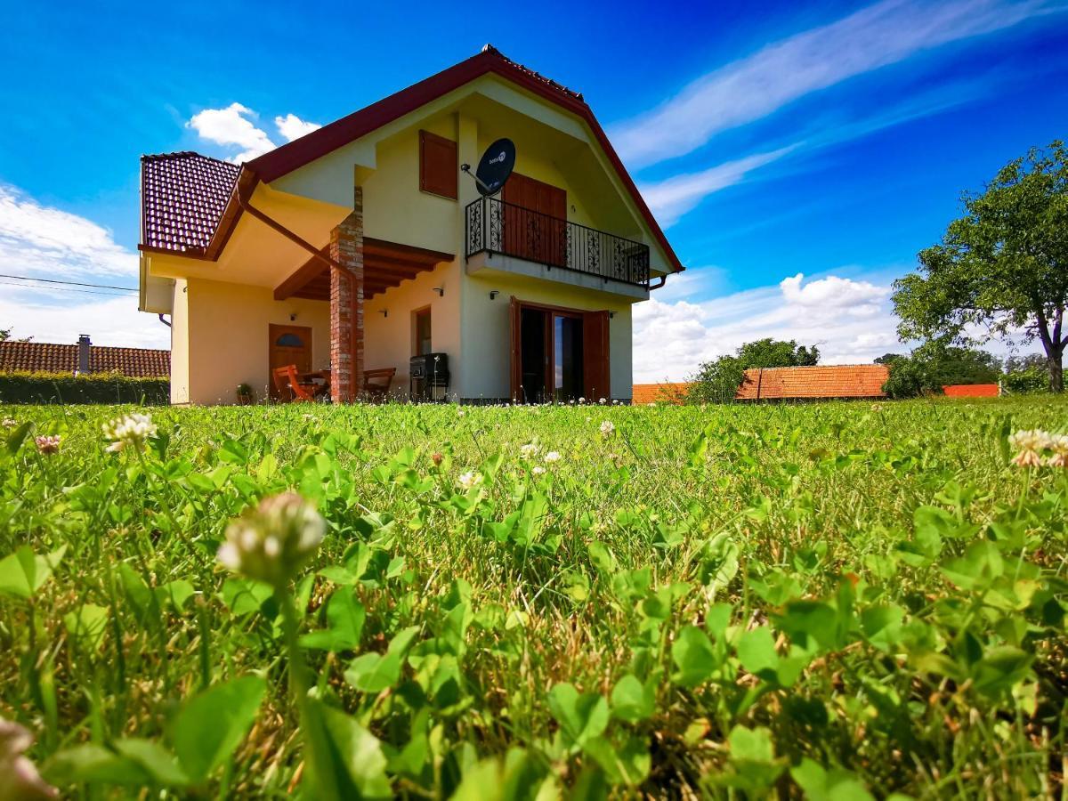 Lindika Villa Lendava Exterior photo